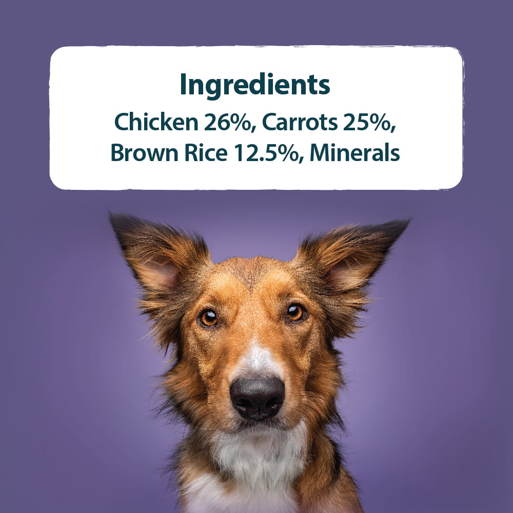 Burns Burns Range Carrots Wholegrain Brown Chicken Adult Wet Dog Food pet food packaging